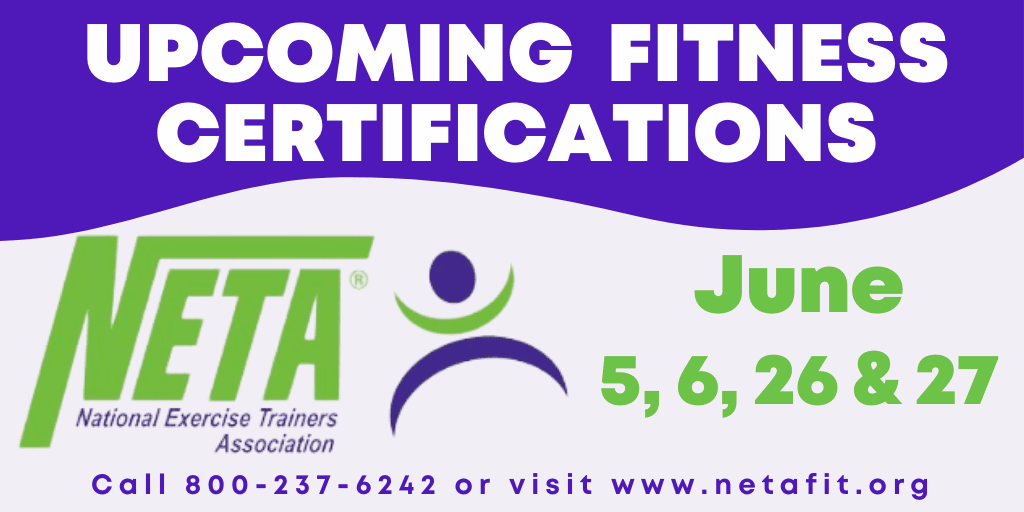 NETA Summer 2021 Newsflash 1024x512-2