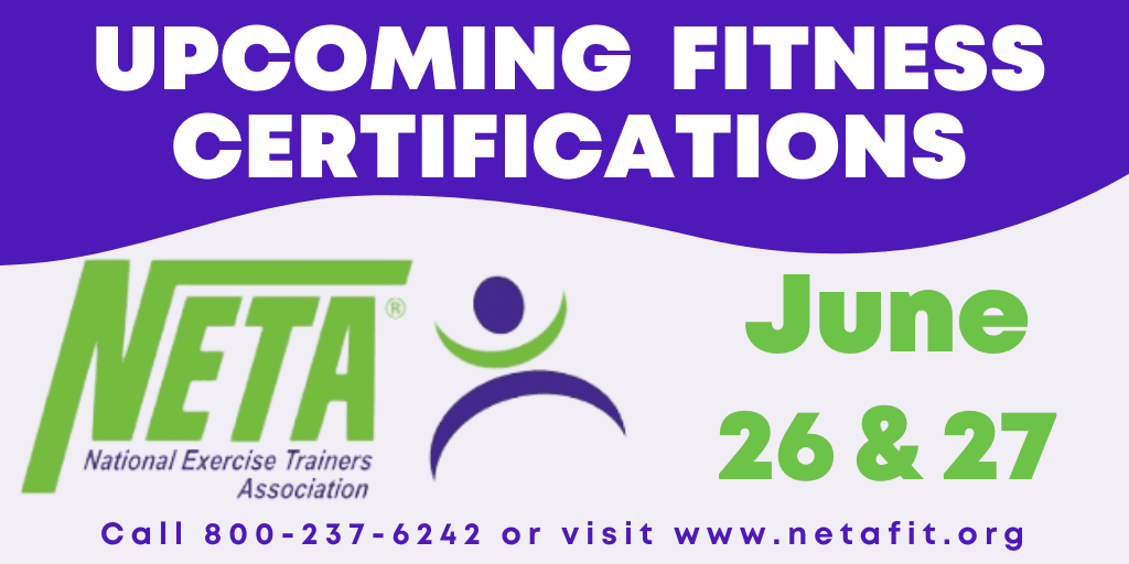 NETA Summer 2021 Newsflash 1024x512-3