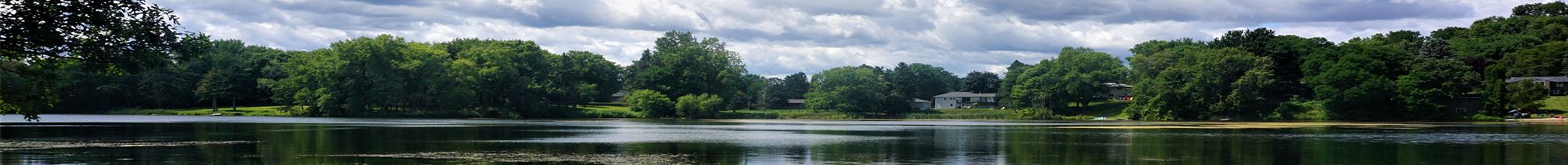 Photo of trees and pond