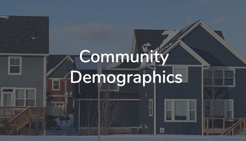 Website thumbnail that reads "Community Demographics"