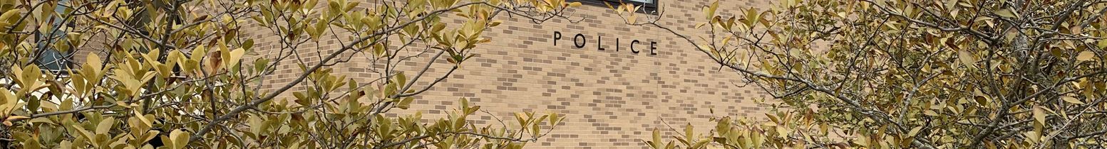 Photo of the word "police" taken through trees