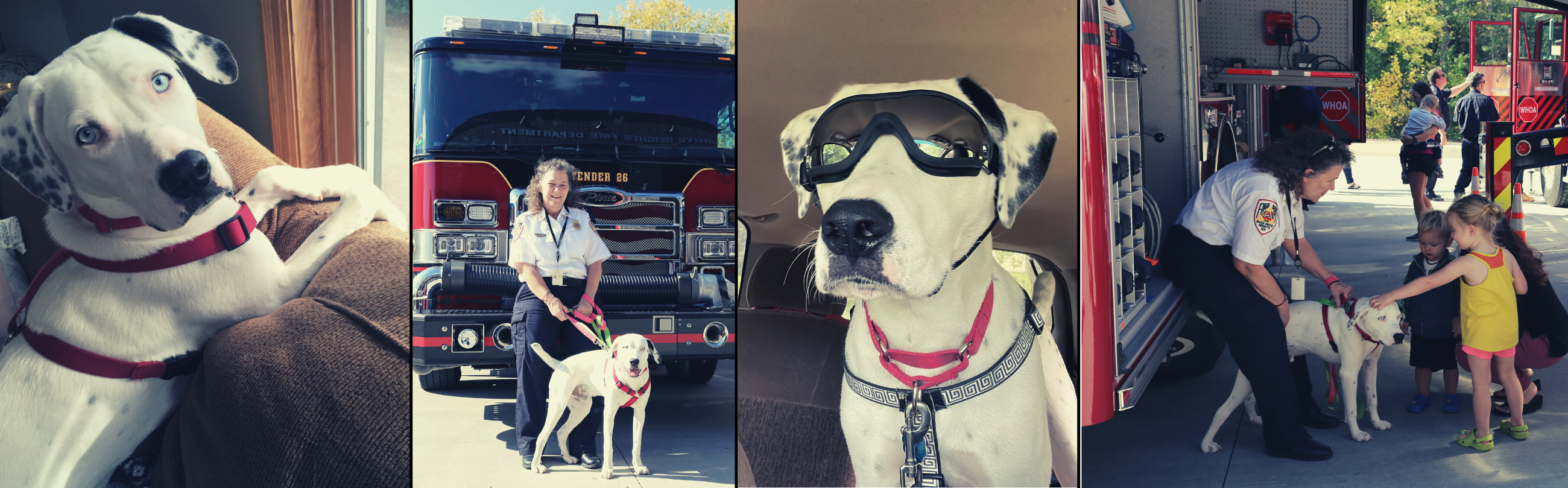 3 photo collage of Fire Chief with dog Blaze