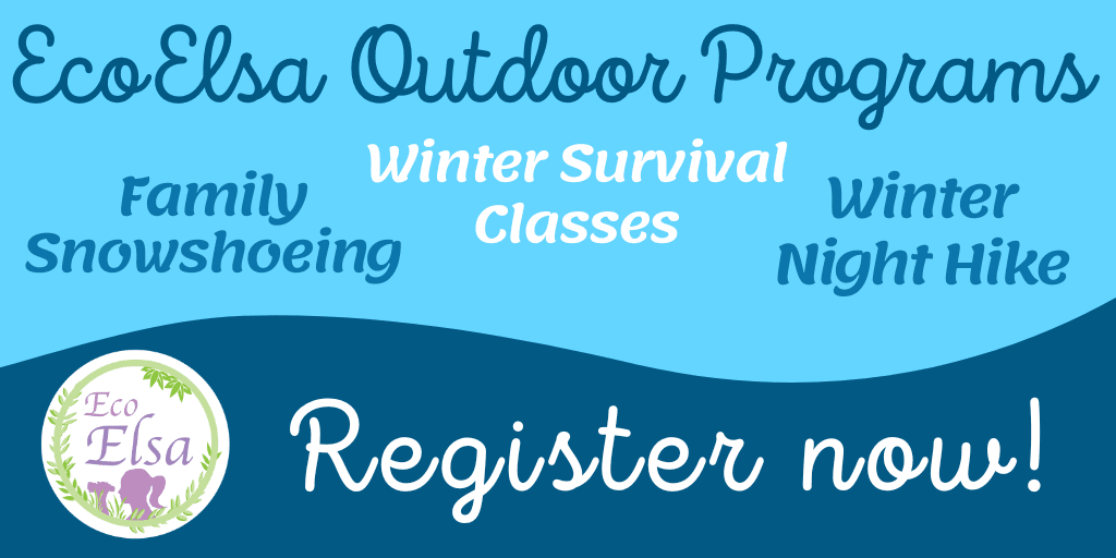 EcoElsa Newsflash 1024x512 (2)