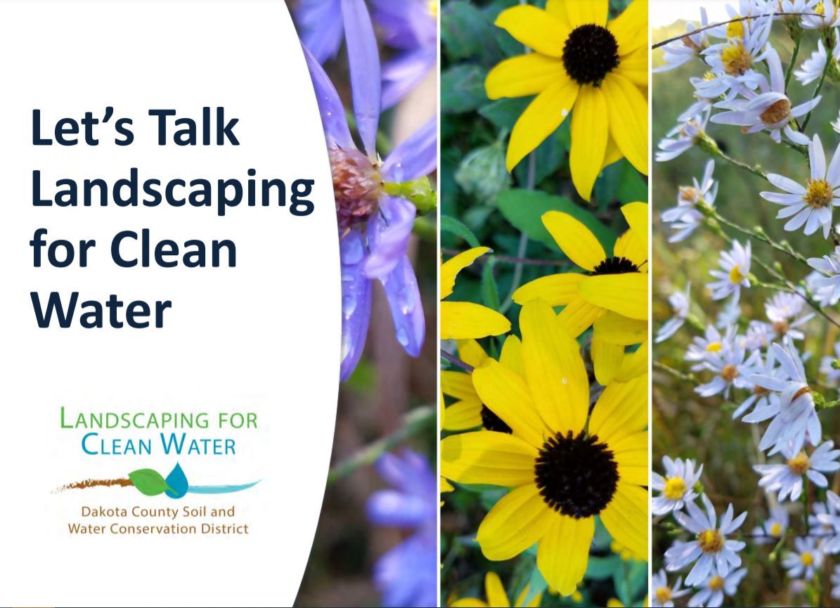 Landscaping for Clean Water